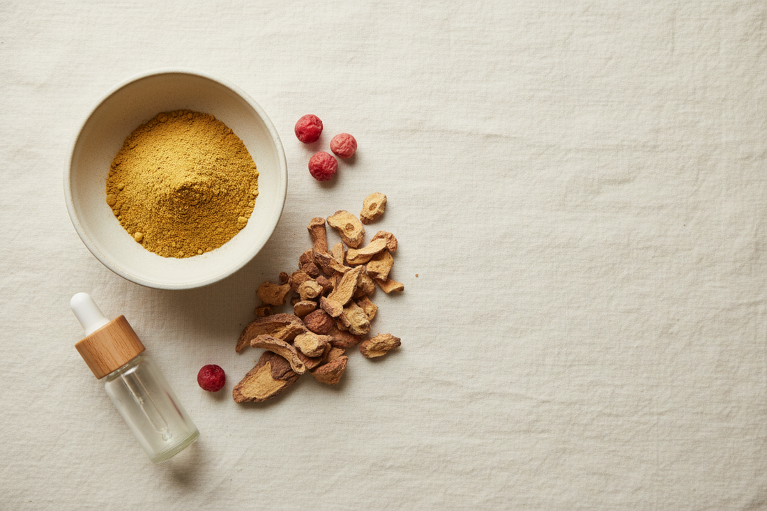 Natural Energy Without Stimulants: The Herbal Approach to Lasting Vitality
