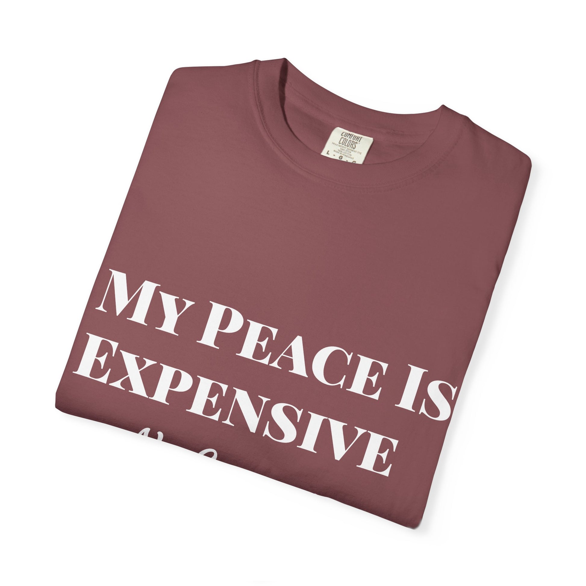 My Peace Is Expensive T-Shirt | Funny Quote Tee for Relaxed Vibes