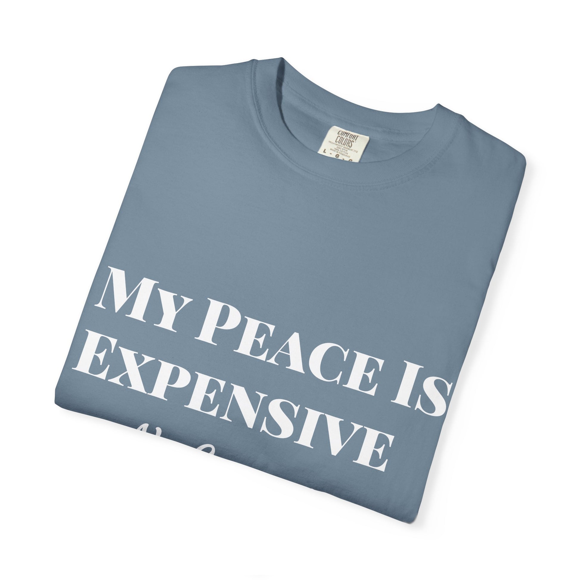 My Peace Is Expensive T-Shirt | Funny Quote Tee for Relaxed Vibes