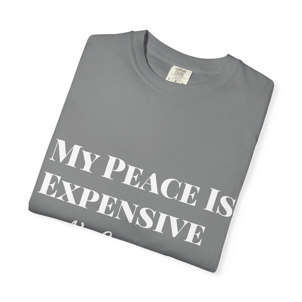 My Peace Is Expensive T-Shirt | Funny Quote Tee for Relaxed Vibes