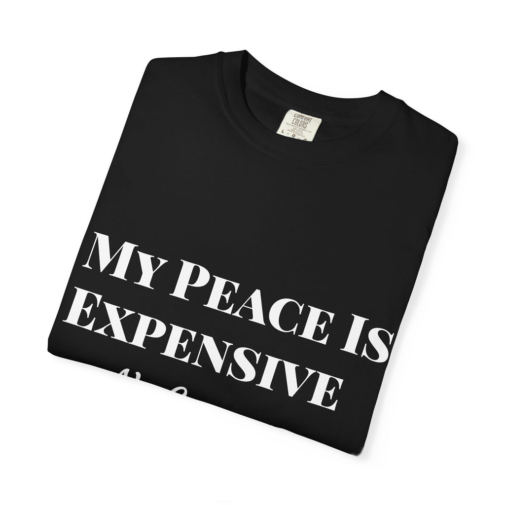My Peace Is Expensive T-Shirt | Funny Quote Tee for Relaxed Vibes