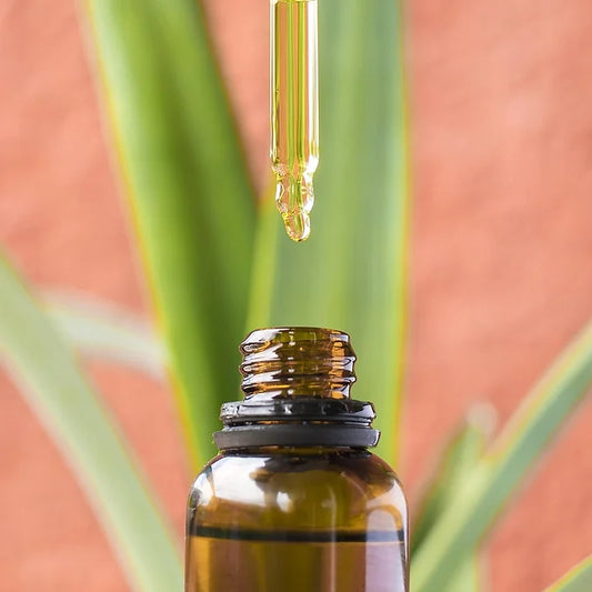 Airway Support Blend Tincture - Heka Herbal